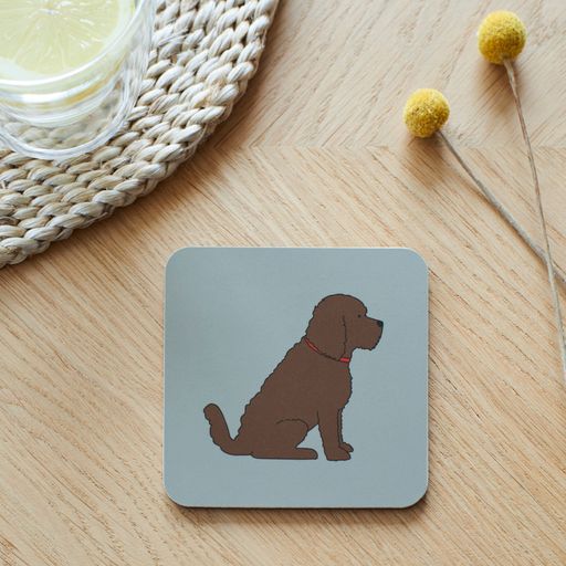 Cockapoo chocolate coaster